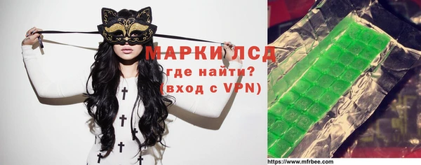 шишки Арсеньев
