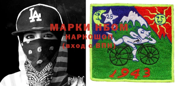 шишки Арсеньев