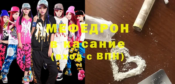 шишки Арсеньев