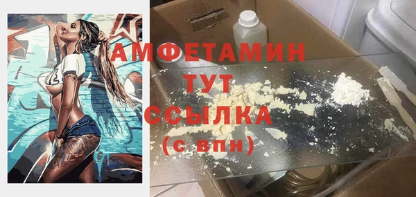 шишки Арсеньев