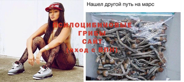 стаф Армянск