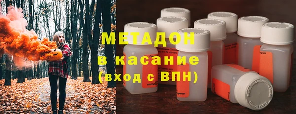 шишки Арсеньев